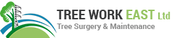 Tree Work East Ltd