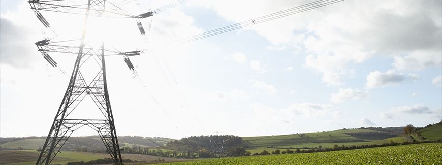 Utility Arboriculture